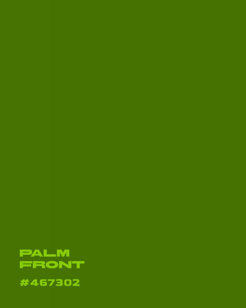 Palm Frond 467302 Summer in Puerto Banús: A Colour Palette Built for the Coast 5 Palm Front #467302