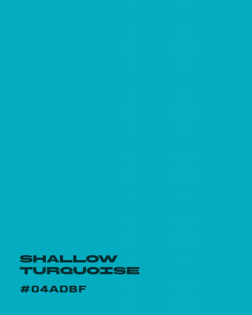 Shallow Turquoise 04ADBF Summer in Puerto Banús: A Colour Palette Built for the Coast 4 Shallow Turquoise #04ADBF